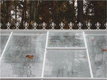 Декоративные элементы